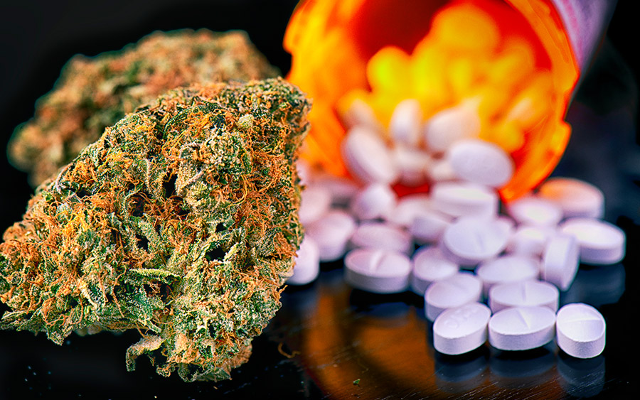 Medical Marijuana vs Prescription Drugs