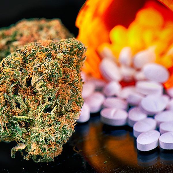 Medical Marijuana vs Prescription Drugs