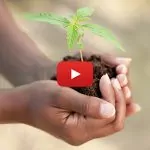 Who is Compassionate Certification Centers?