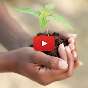 Who is Compassionate Certification Centers?