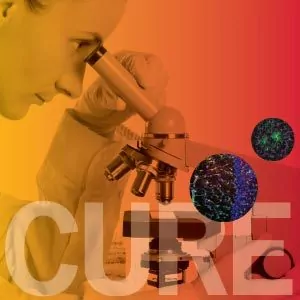 State of Research in Epilepsy