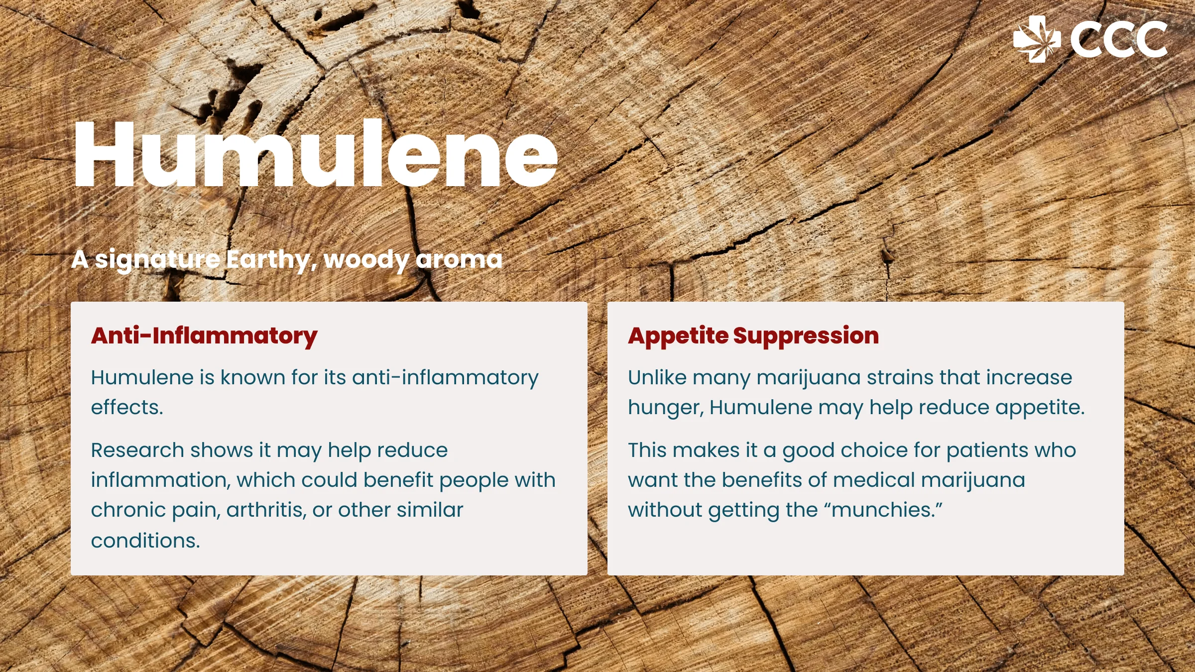 humulene terpine profile