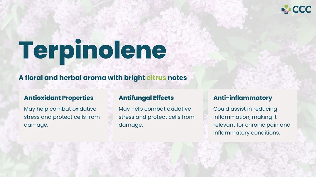 humulene terpine profile